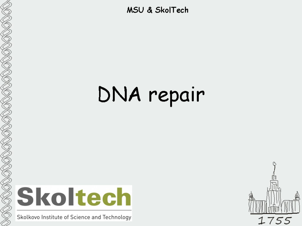 MSU & SkolTech DNA repair